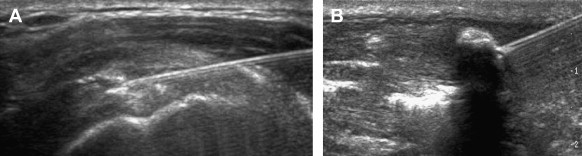 Fig. 8