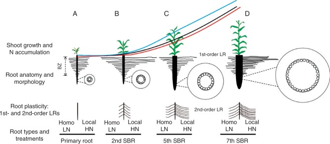 Fig. 7.