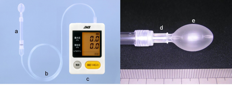 Figure 1