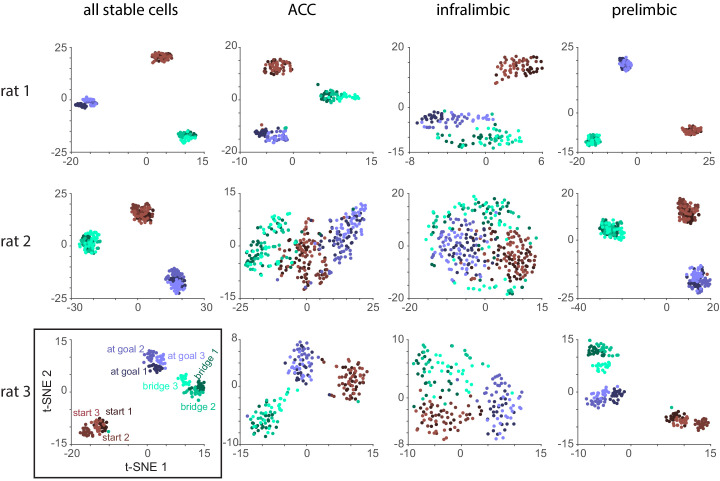 Figure 6—figure supplement 1.