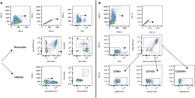 Figure 1