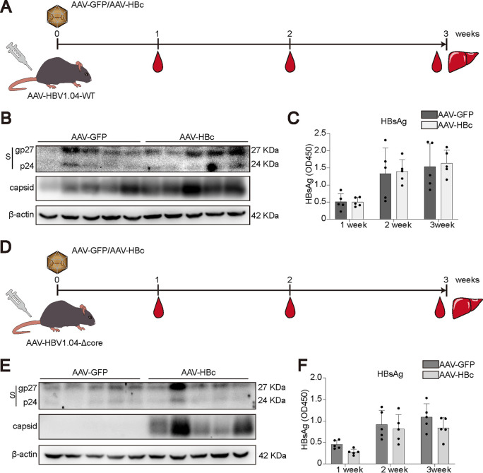 FIG 6