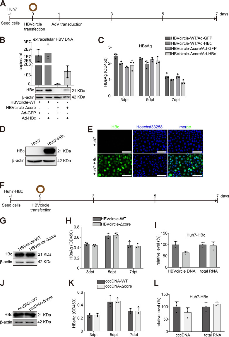 FIG 3