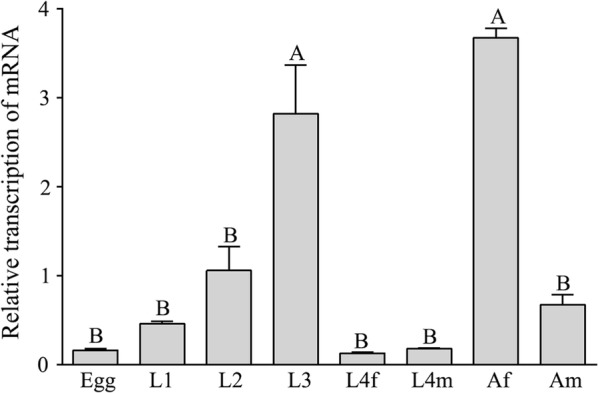 Fig. 4