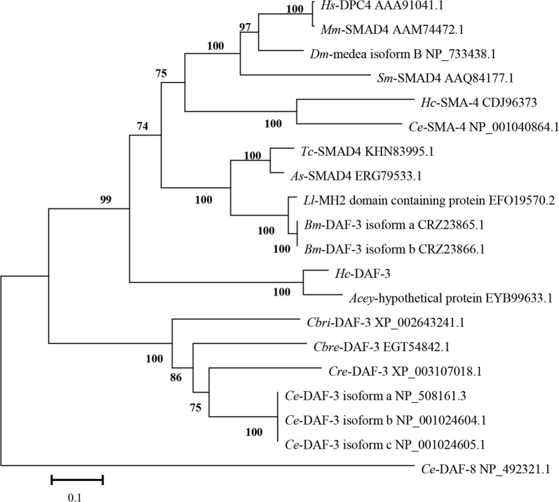 Fig. 2