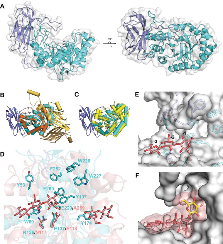 FIG 4