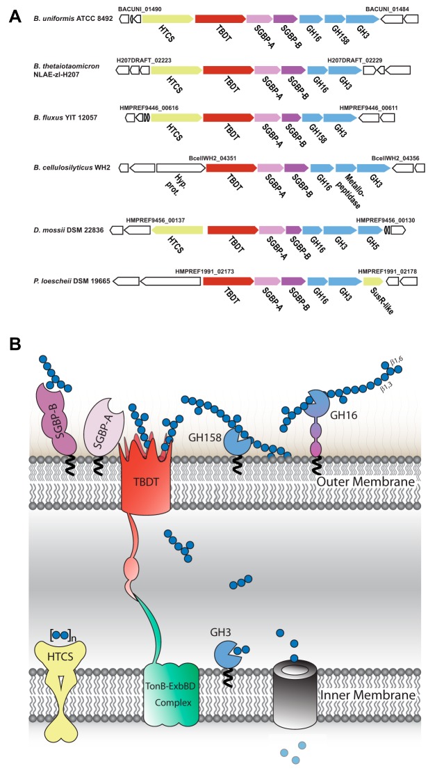 FIG 1