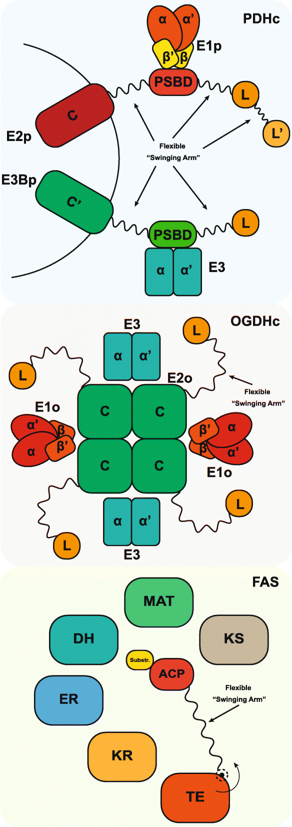 Fig. 2