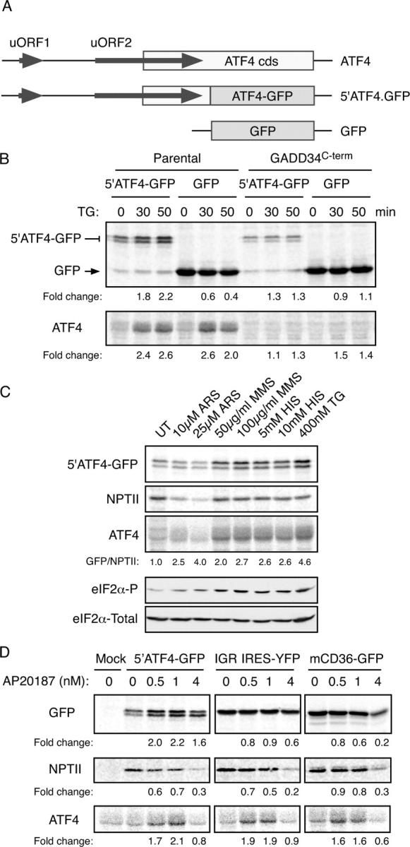 Figure 2.