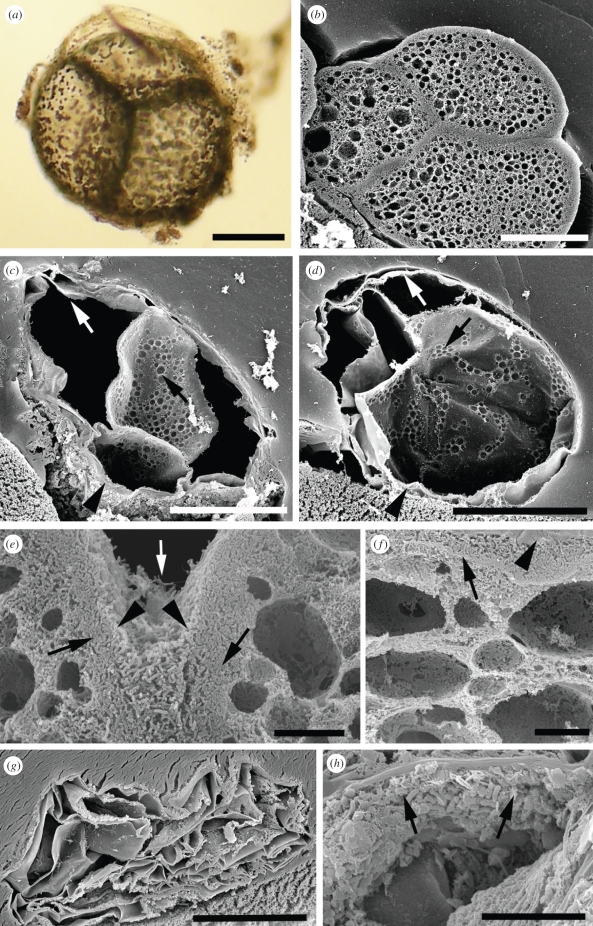 Figure 2.