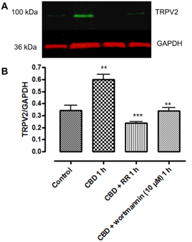 Figure 12