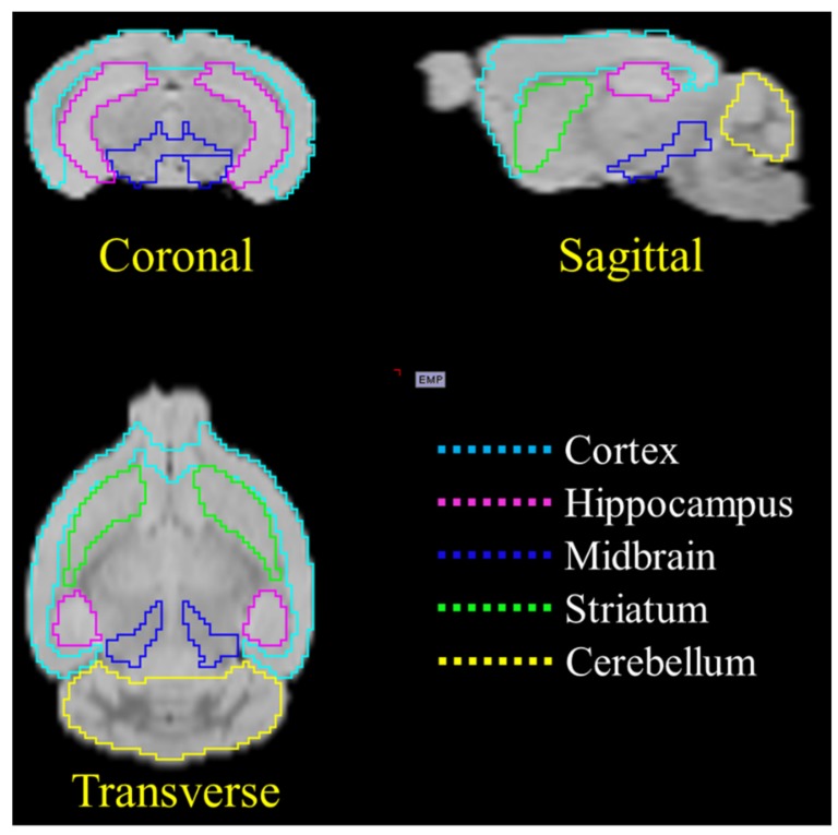 Figure 7