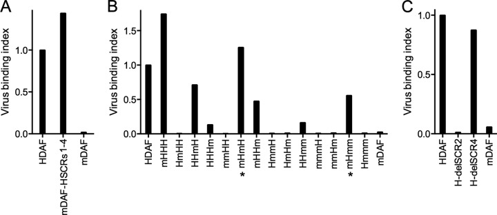 FIG 2