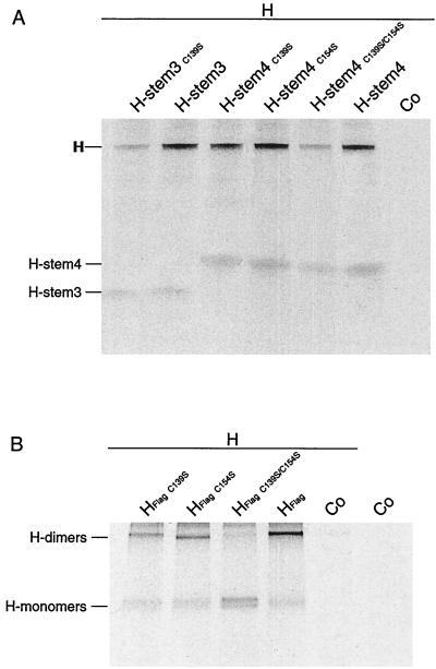 FIG. 5