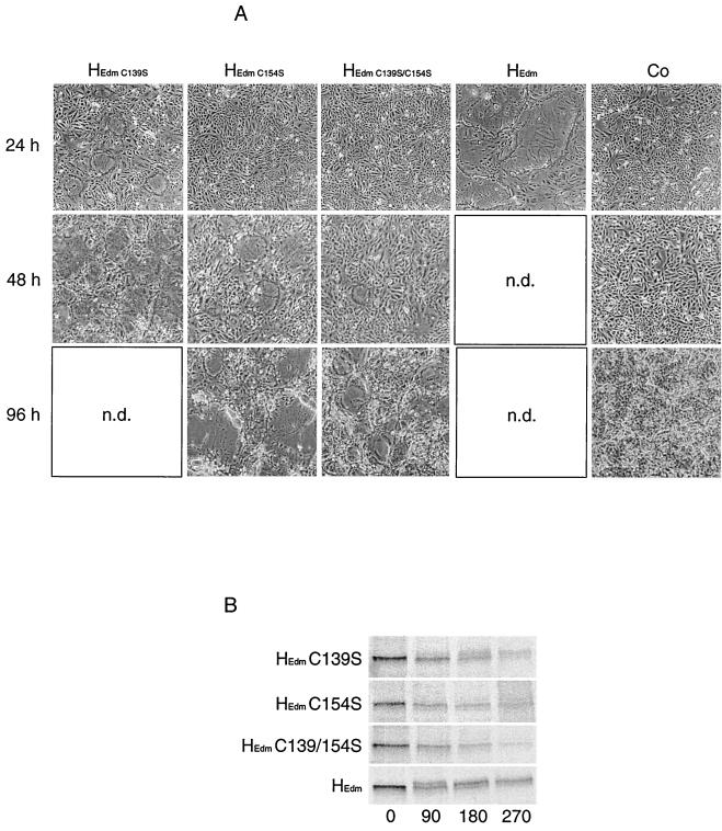 FIG. 6