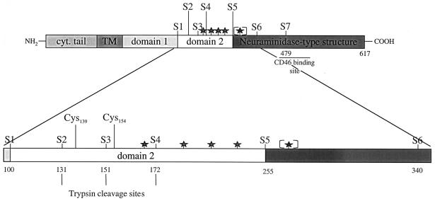 FIG. 1