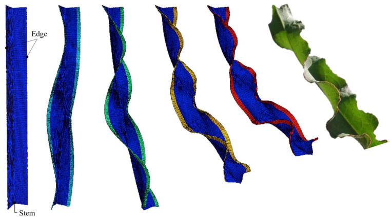 Figure 7
