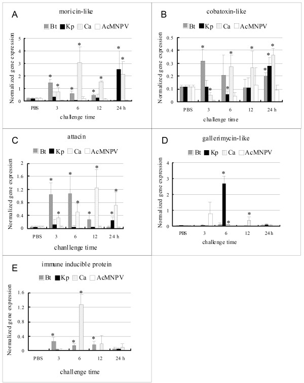 Figure 6