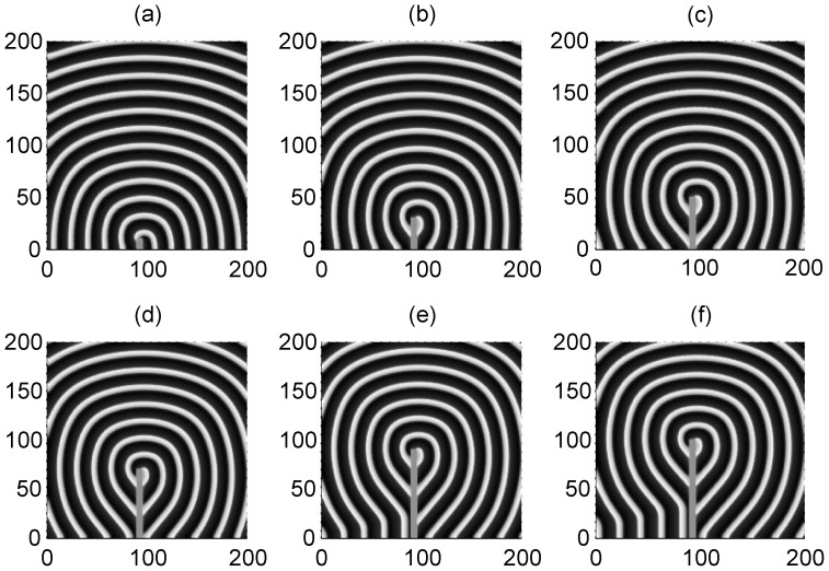 Figure 6