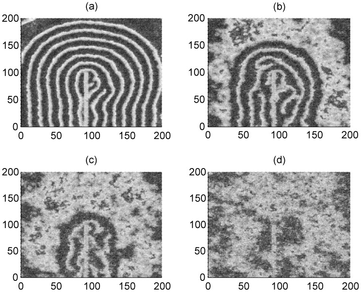 Figure 12