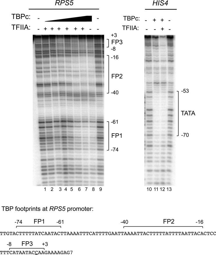 FIG 8