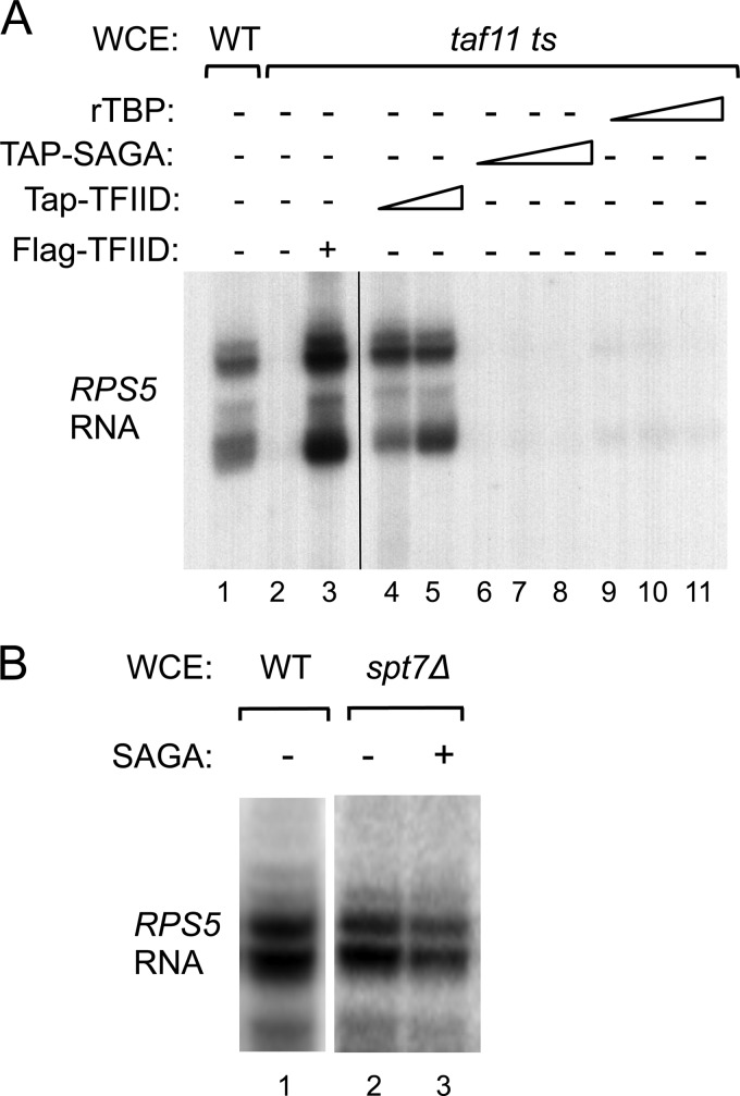 FIG 6