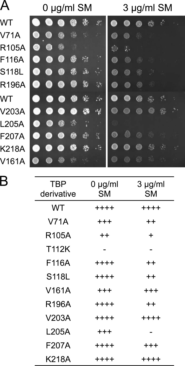 FIG 2