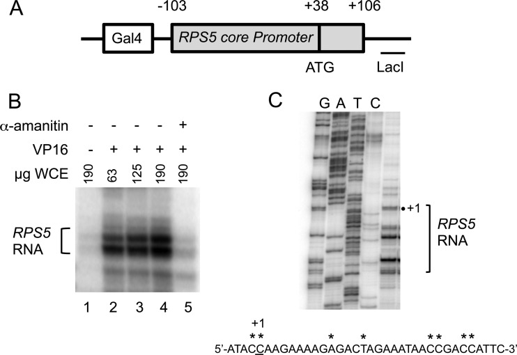 FIG 4