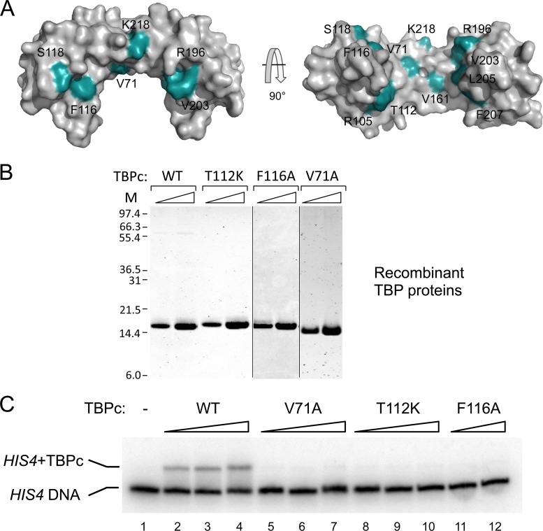 FIG 1