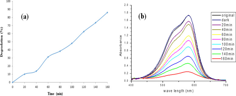 Fig. 10