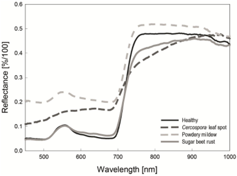 Fig. 9