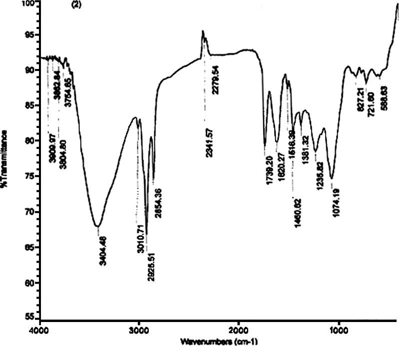 Fig. 5