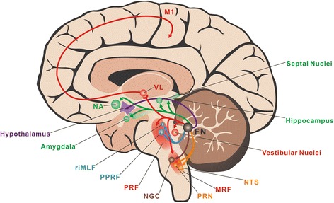 Fig. 2