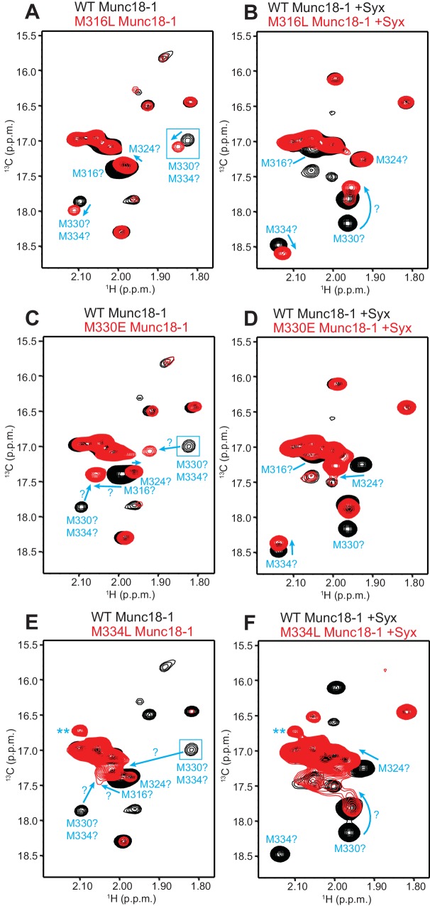 Figure 6—figure supplement 2.