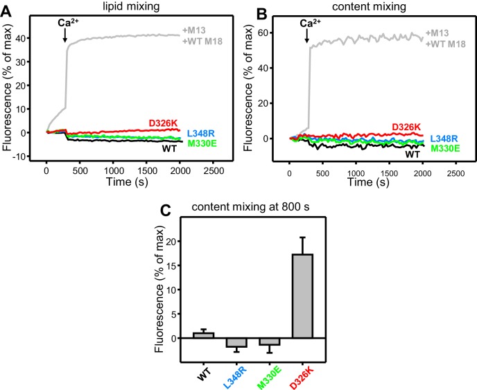 Figure 4—figure supplement 2.