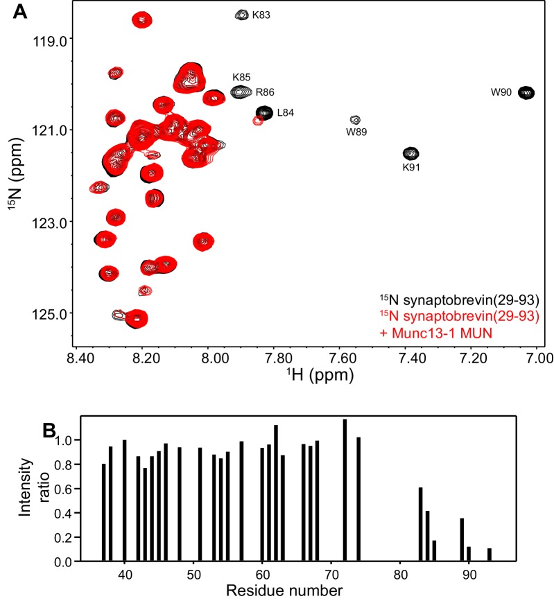 Figure 2—figure supplement 1.