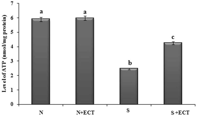 Figure 7.