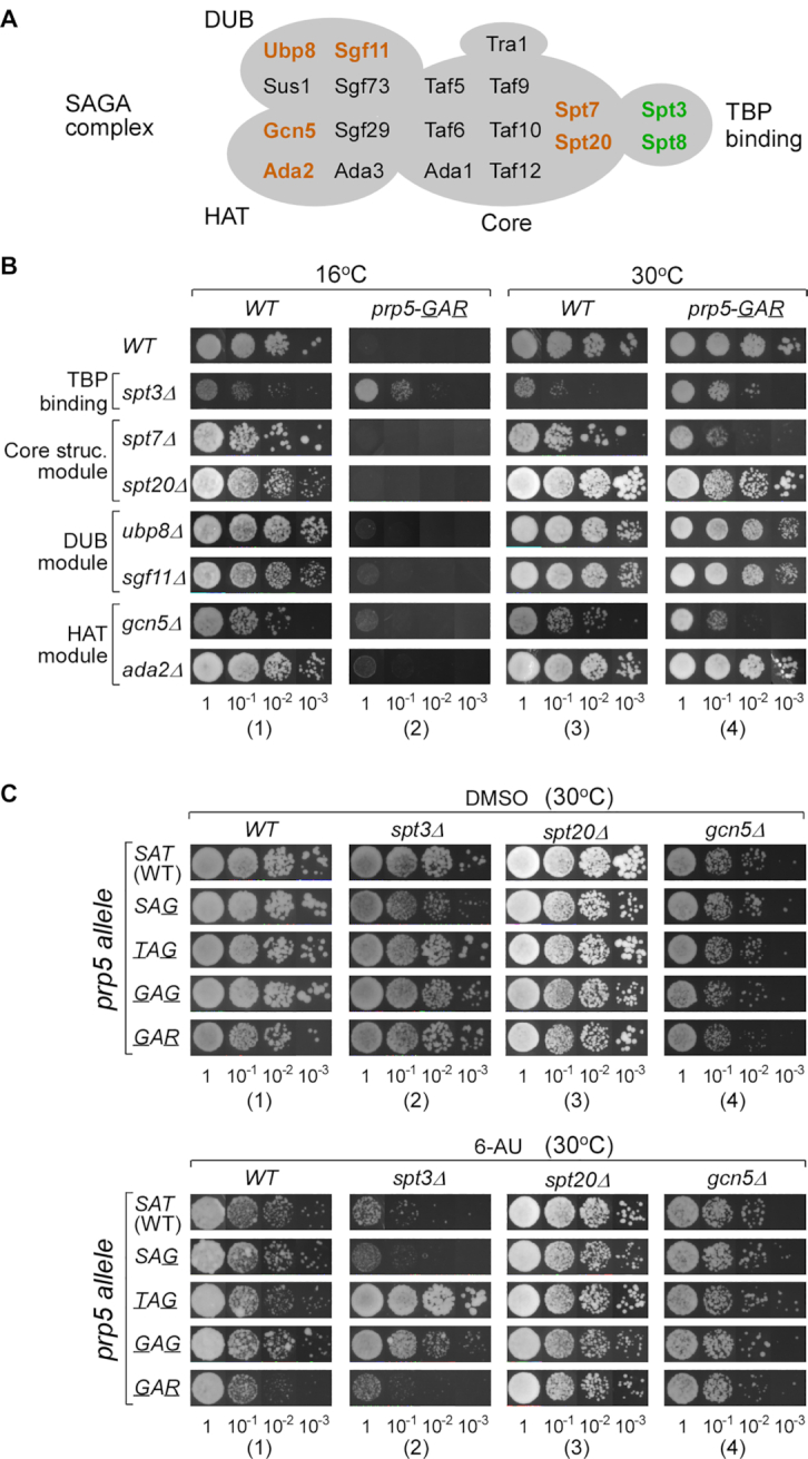 Figure 2.