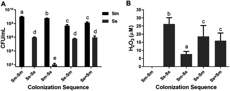 FIG 2