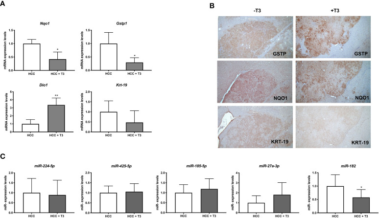 Figure 5