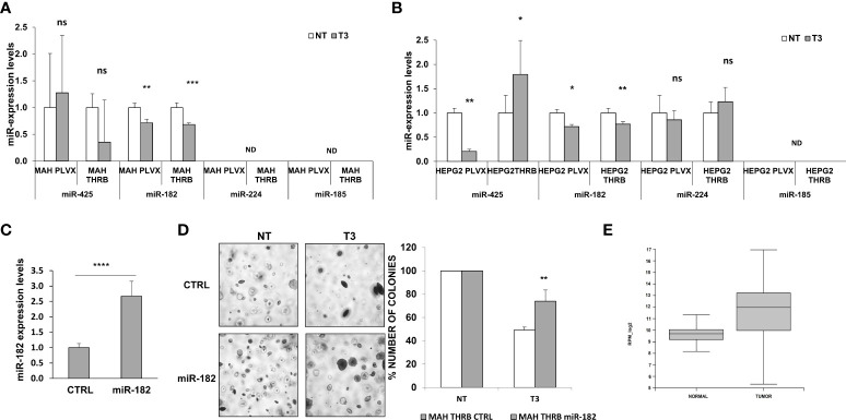 Figure 6