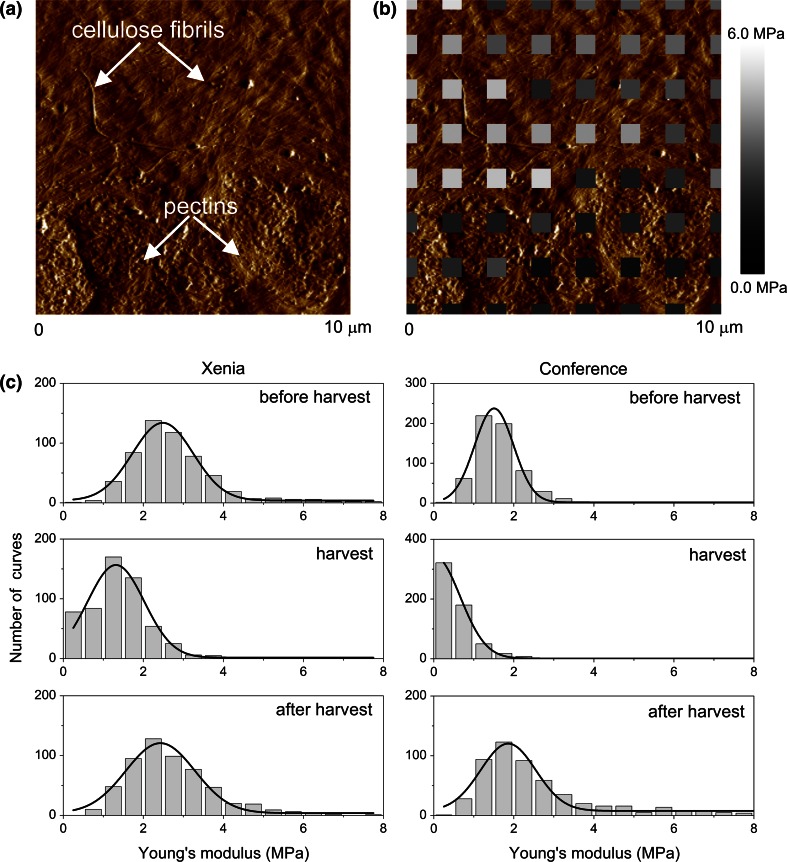 Fig. 3