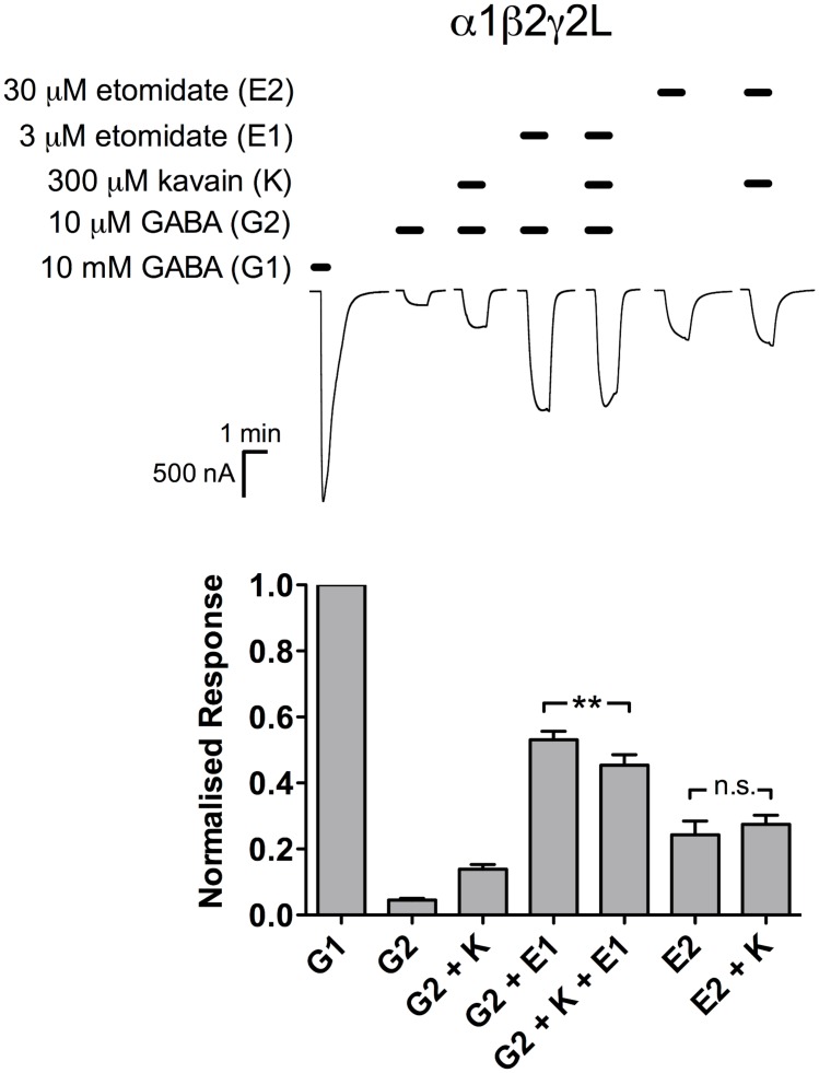 Fig 5