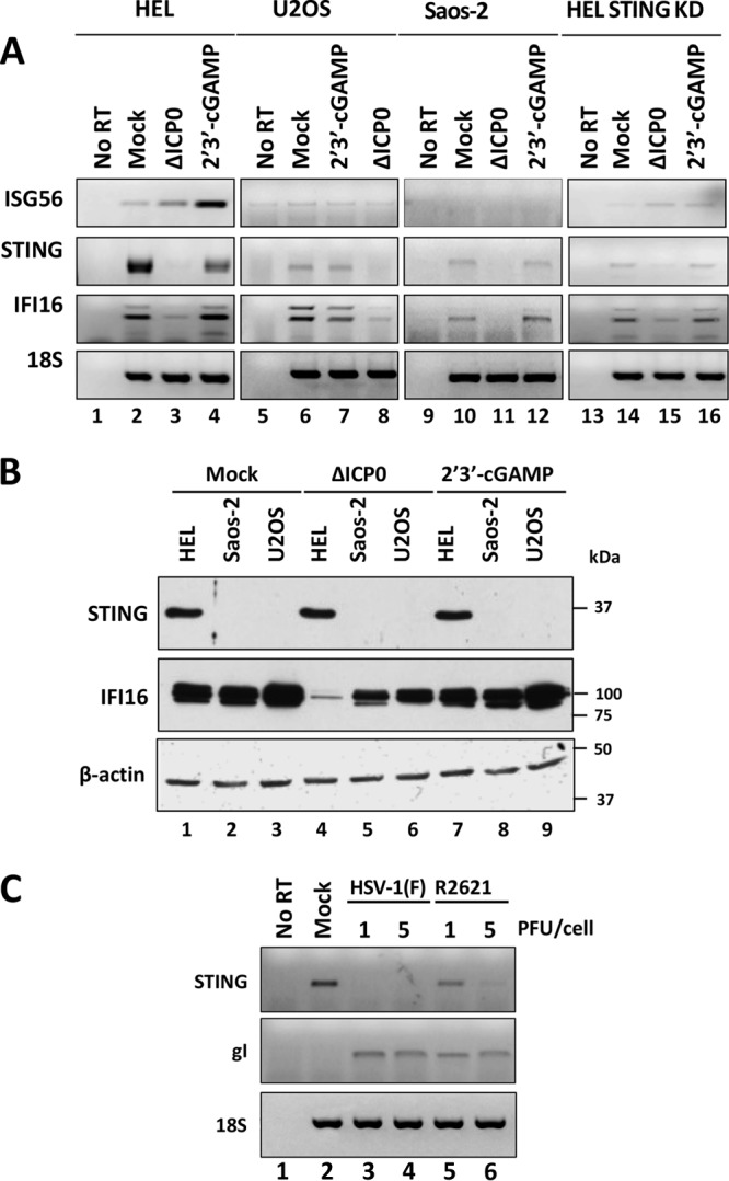 FIG 2