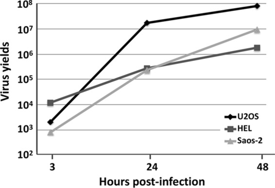 FIG 1