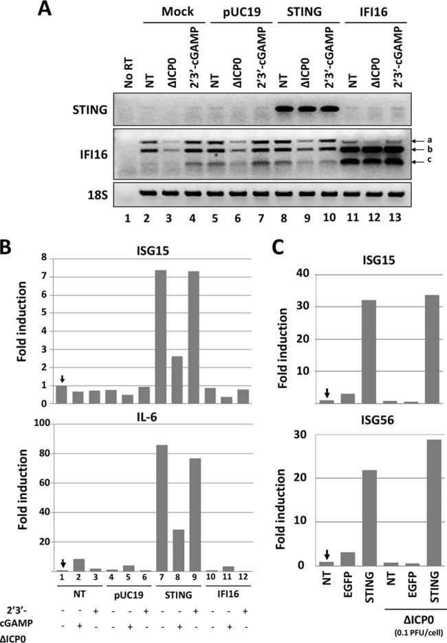 FIG 3