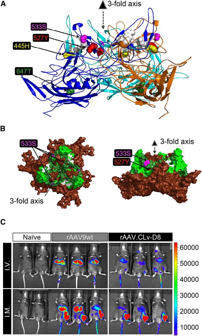 Figure 1