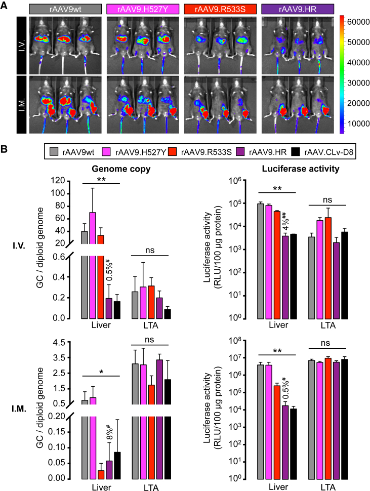 Figure 2