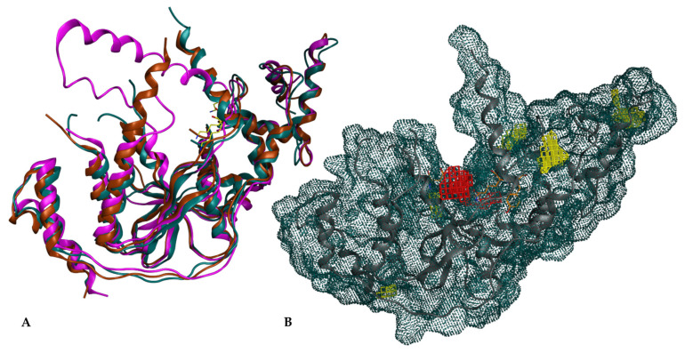 Figure 2