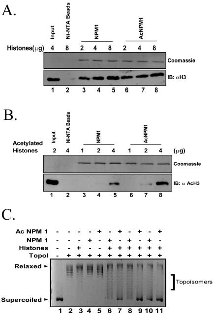 FIG. 6.